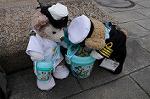 Dcim7766/DSC_8801