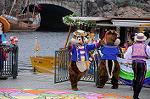 Dcim7767/DSC_8981