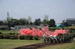 Dcim7776/DSC_9845