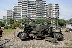 Dcim7781/DSC_0443