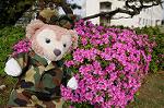 Dcim7781/DSC_0551