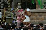 Dcim7783/DSC_7304