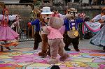 Dcim7784/DSC_0666