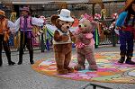 Dcim7784/DSC_0721
