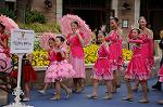 Dcim7785/DSC_0833