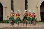 Dcim7787/DSC_1087