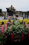 Dcim7791/DSC_1669