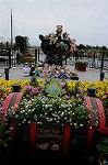 Dcim7791/DSC_1673