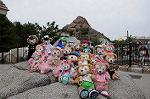 Dcim7791/DSC_1689