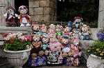 Dcim7791/DSC_1742