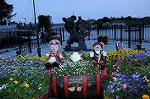 Dcim7793/DSC_1984