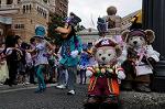 Dcim7796/DSC_2113