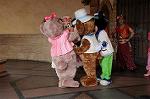 Dcim7797/DSC_2311
