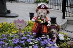 Dcim7798/DSC_2482