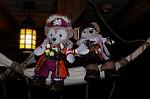 Dcim7799/DSC_2603