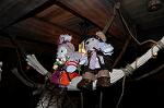 Dcim7799/DSC_2606