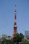 Dcim7802/DSC_2784