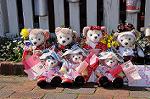 Dcim7804/DSC_3095
