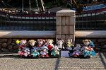 Dcim7804/DSC_3181