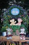 Dcim7806/DSC_3323