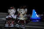 Dcim7806/DSC_3399