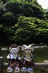 Dcim7808/DSC_3554