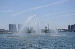 Dcim7813/DSC_4079