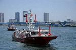Dcim7814/DSC_4322