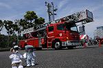 Dcim7815/DSC_4396
