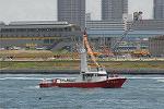 Dcim7819/DSC_0373