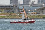 Dcim7819/DSC_0374