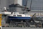 Dcim7819/DSC_0387