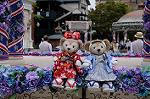 Dcim7824/DSC_4816