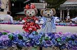 Dcim7824/DSC_4818