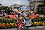 Dcim7826/DSC_5017