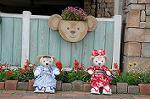 Dcim7828/DSC_5339