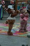 Dcim7833/DSC_8661