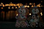 Dcim7833/DSC_8745