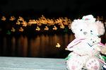 Dcim7833/DSC_8754