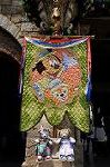 Dcim7834/DSC_5605