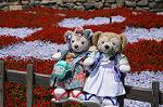 Dcim7834/DSC_5637