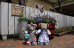 Dcim7834/DSC_5676