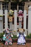 Dcim7834/DSC_5687