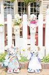 Dcim7834/DSC_5689