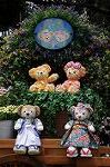 Dcim7834/DSC_5733