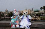Dcim7835/DSC_5781