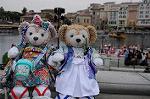 Dcim7837/DSC_6109