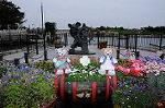 Dcim7838/DSC_6255