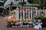 Dcim7838/DSC_6277