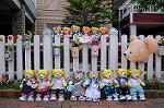 Dcim7838/DSC_6301